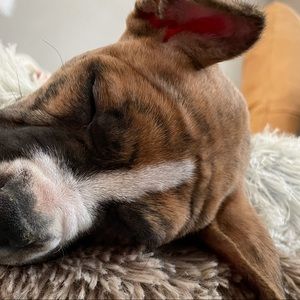 Meet your Posher, Melody